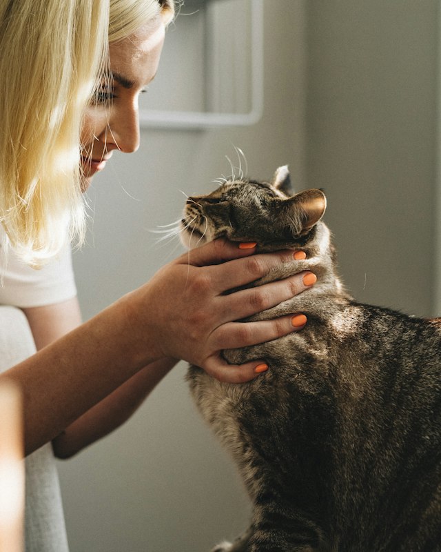 Vet holding a cat